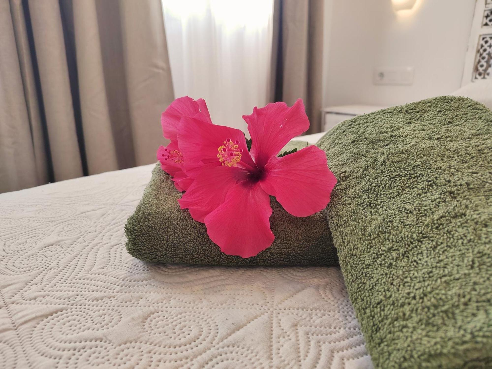 Tamarindo 27 Pool Front Next To The Dunes, Free Wifi Corralejo Buitenkant foto